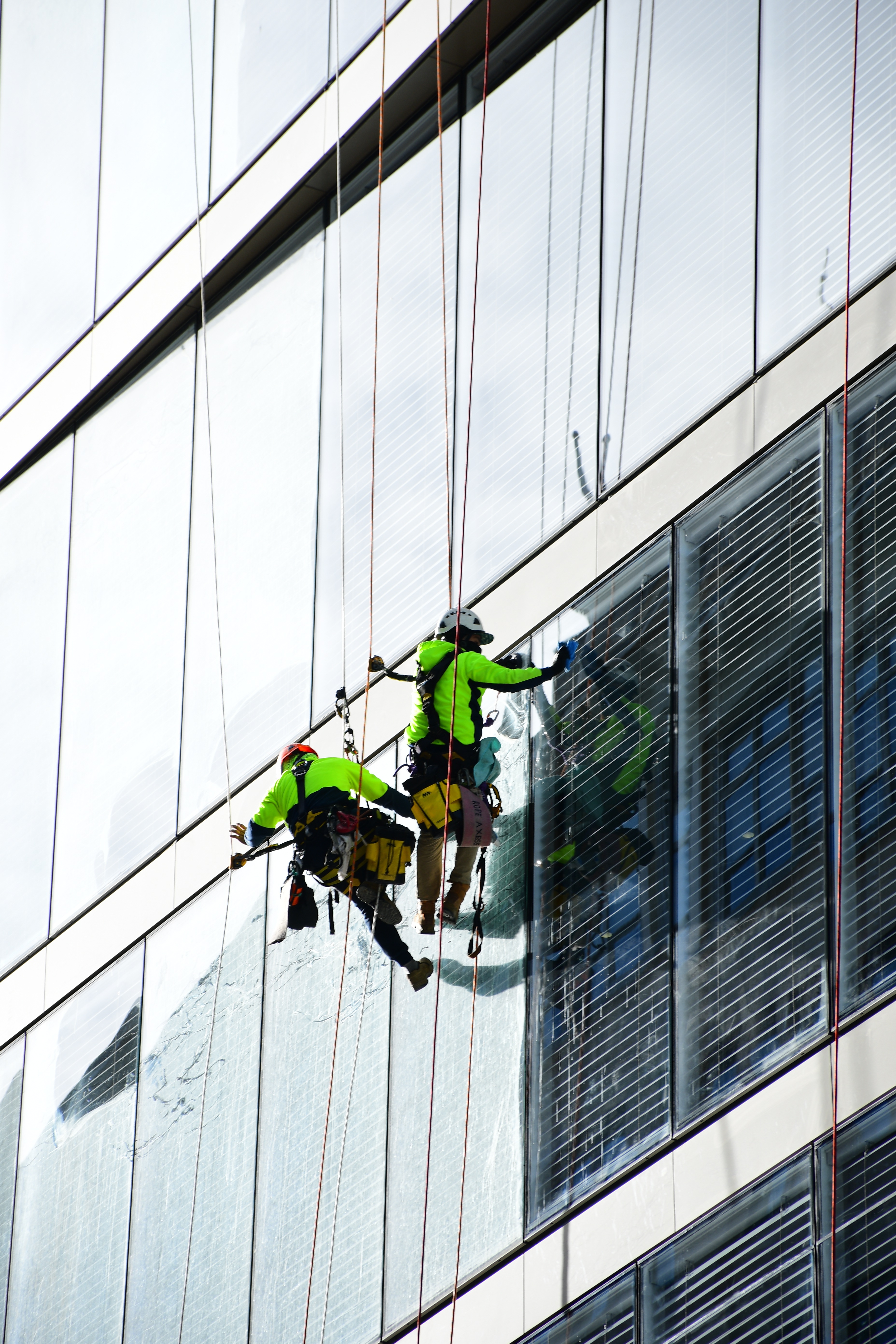 Window cleaner